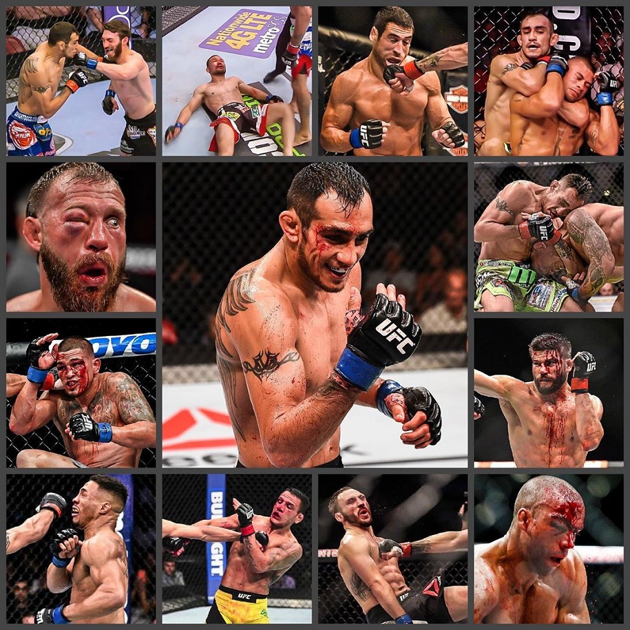 Joe Rogan: Tony Ferguson là chiến binh đáng sợ nhất của hạng Lightweight UFC Joe Rogan: Tony Ferguson là chiến binh đáng sợ nhất của hạng Lightweight UFC